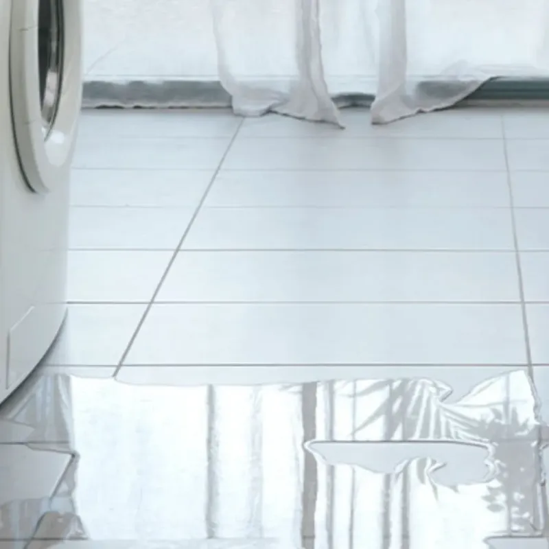 Appliance Leak Cleanup in Mims, FL
