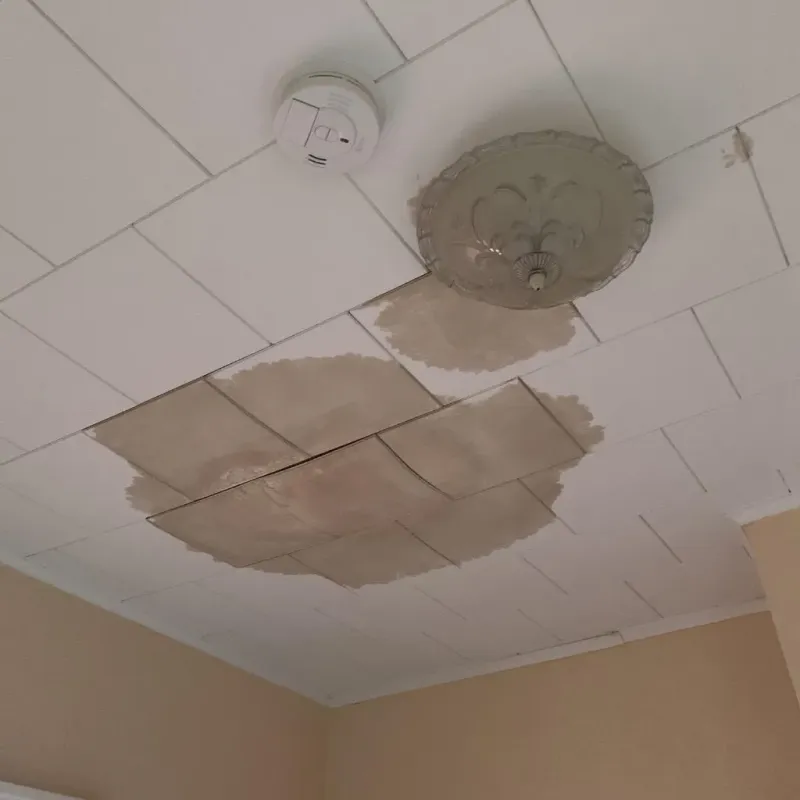 Ceiling Water Damage Repair in Mims, FL